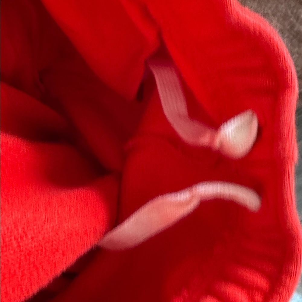 rag & bone women’s Red Sweatpants - Picture 7 of 9